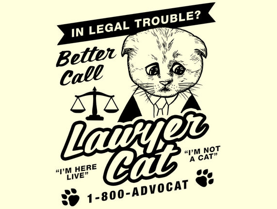 Better Call Lawyer Cat