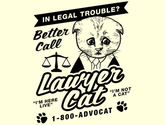 Better Call Lawyer Cat