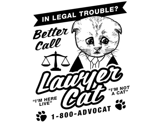 Better Call Lawyer Cat