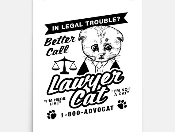 Better Call Lawyer Cat