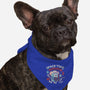 Space Time-dog bandana pet collar-eduely