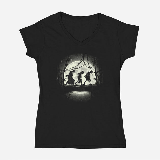 Samurai's Journey-womens v-neck tee-fanfreak1