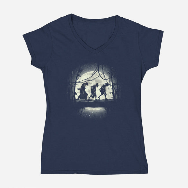 Samurai's Journey-womens v-neck tee-fanfreak1