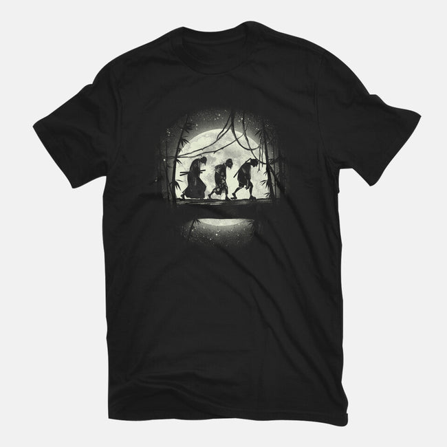 Samurai's Journey-womens fitted tee-fanfreak1