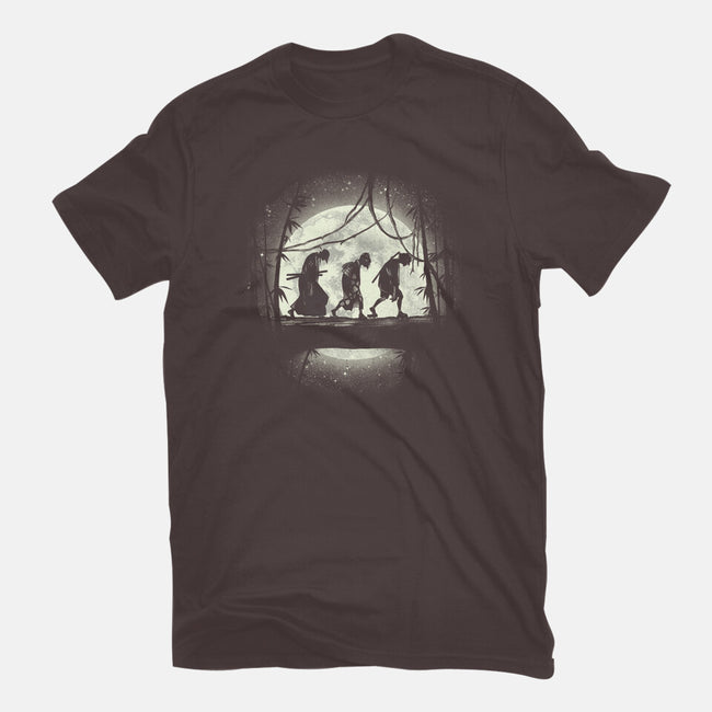 Samurai's Journey-womens fitted tee-fanfreak1