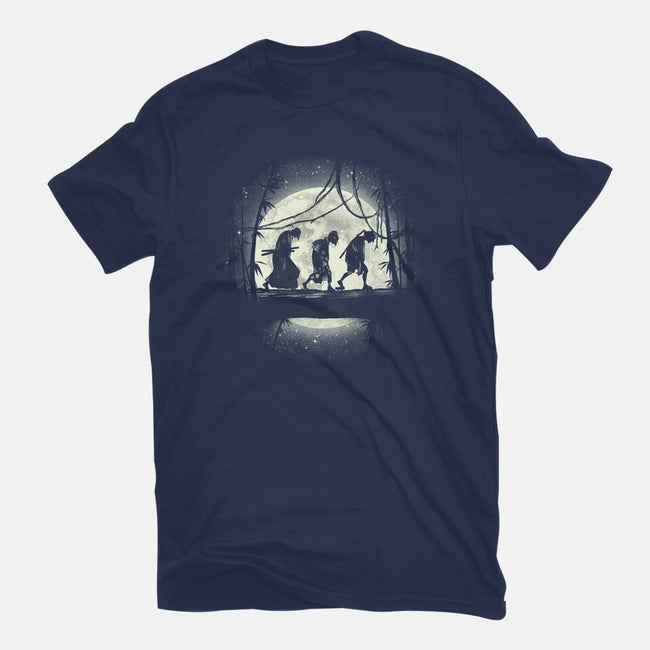 Samurai's Journey-womens fitted tee-fanfreak1