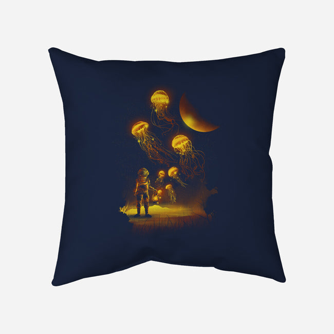 Close Encounters-none removable cover w insert throw pillow-dandingeroz