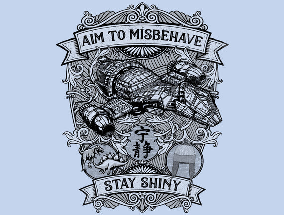 Aim to Misbehave