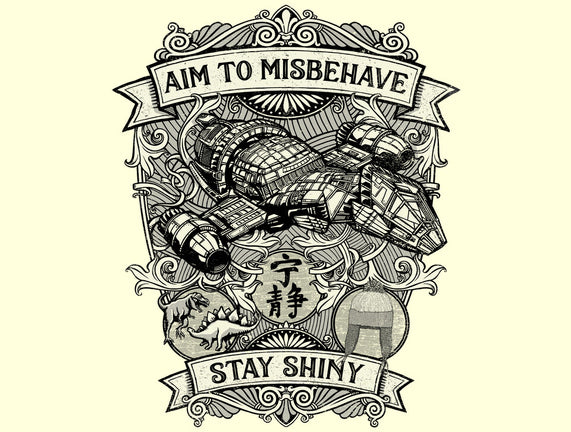 Aim to Misbehave