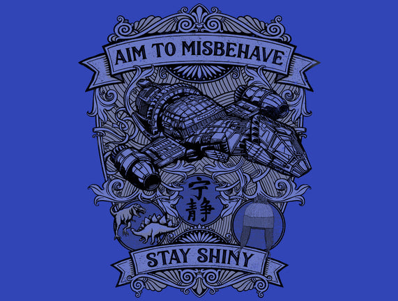 Aim to Misbehave