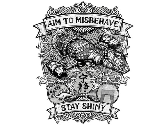 Aim to Misbehave