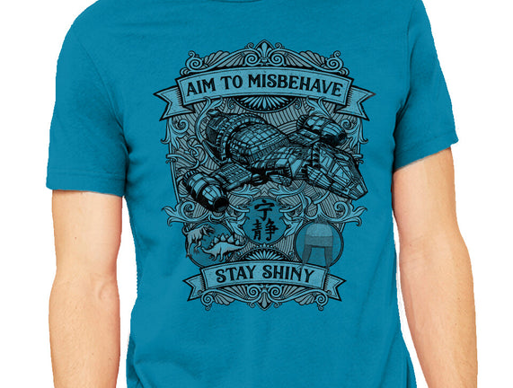 Aim to Misbehave