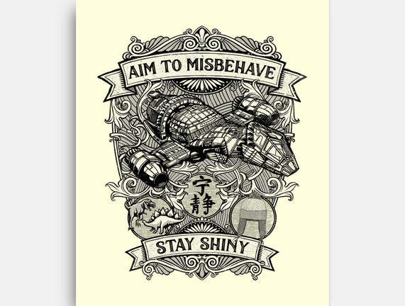 Aim to Misbehave