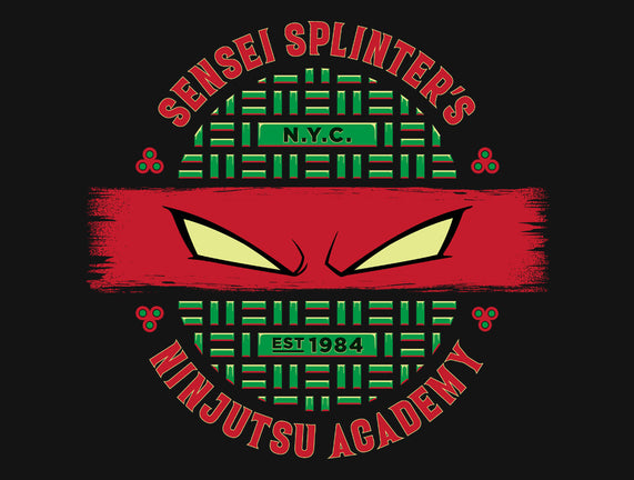 Sensei Splinter's Ninjutsu Academy