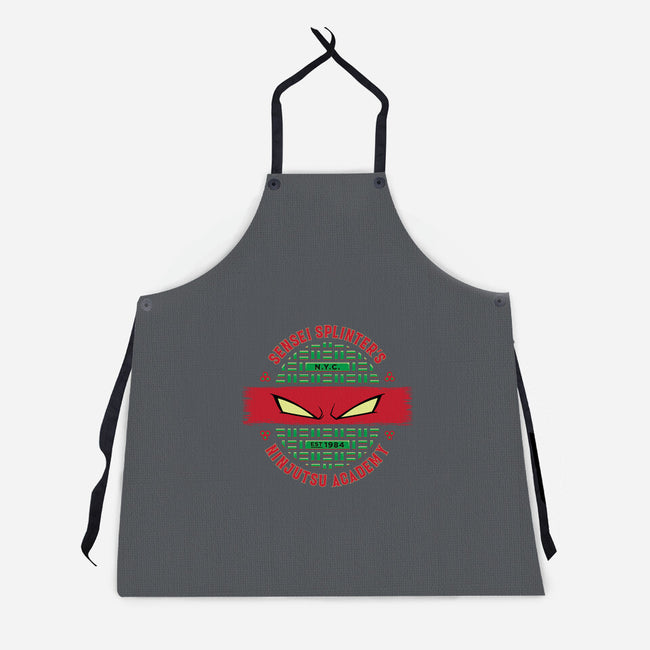 Sensei Splinter's Ninjutsu Academy-unisex kitchen apron-DCLawrence