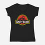 Amity Island-womens v-neck tee-dalethesk8er