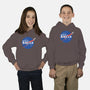 Ludicrous-youth pullover sweatshirt-kg07