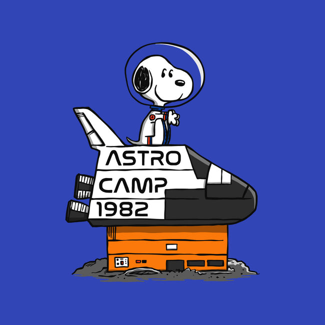 Astro Camp-youth pullover sweatshirt-doodletoots