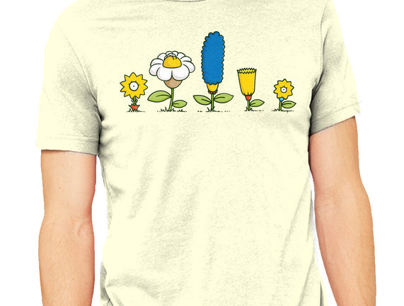 Spring Field