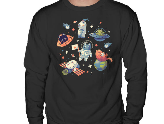 Cats in Space