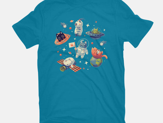 Cats in Space