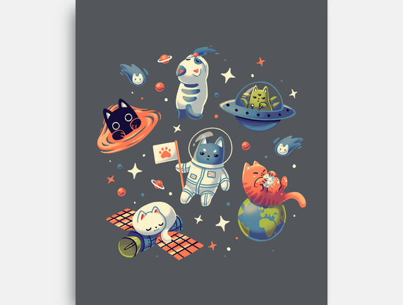 Cats in Space