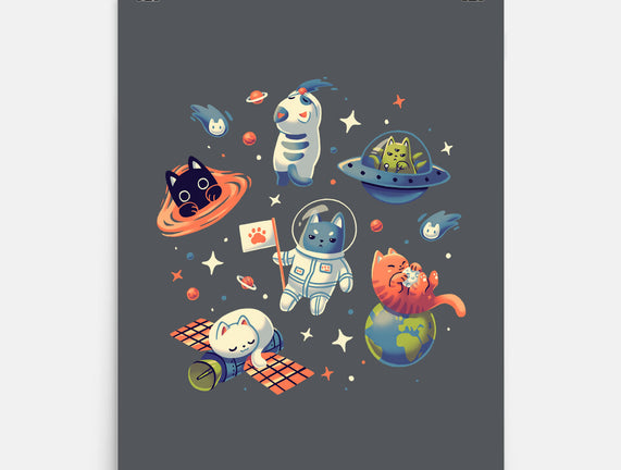 Cats in Space