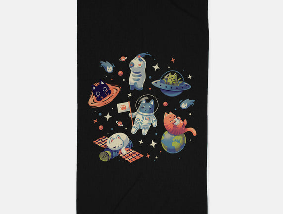 Cats in Space