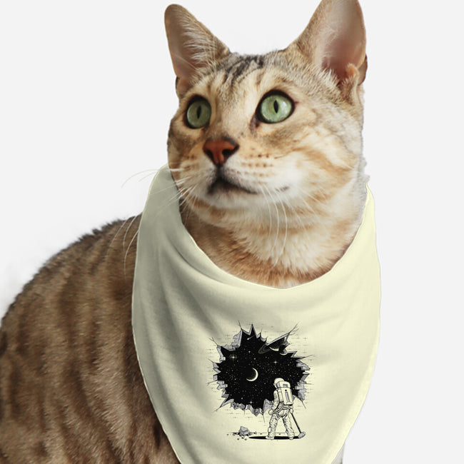 Breakthrough-cat bandana pet collar-Gamma-Ray