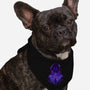 Complete Susanoo-dog bandana pet collar-hypertwenty