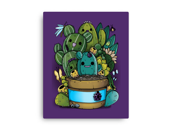 Cactus Succulents