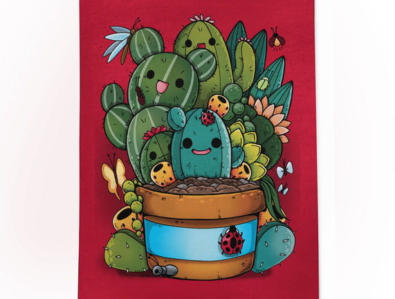 Cactus Succulents