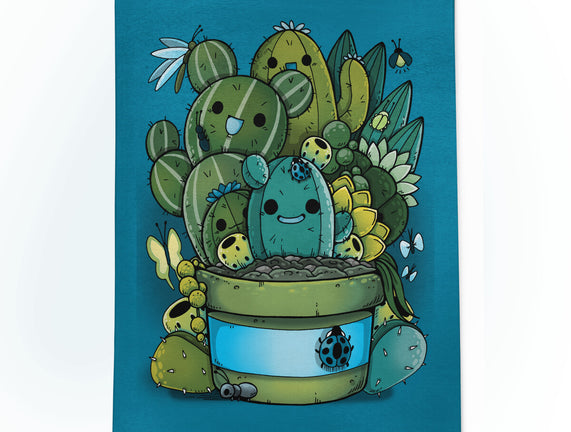 Cactus Succulents