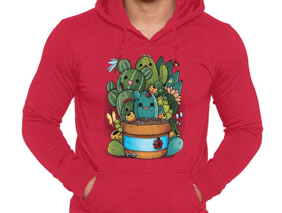 Cactus Succulents