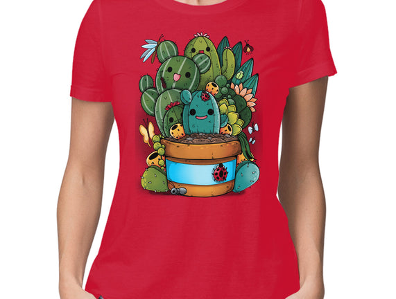 Cactus Succulents