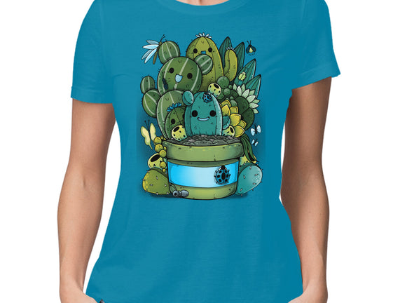 Cactus Succulents