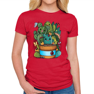Cactus Succulents