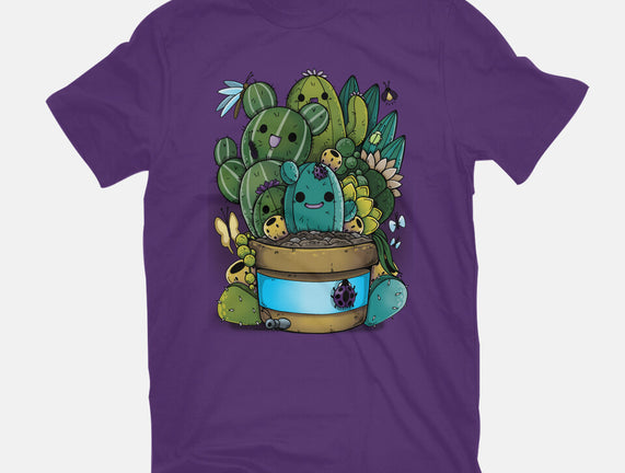 Cactus Succulents