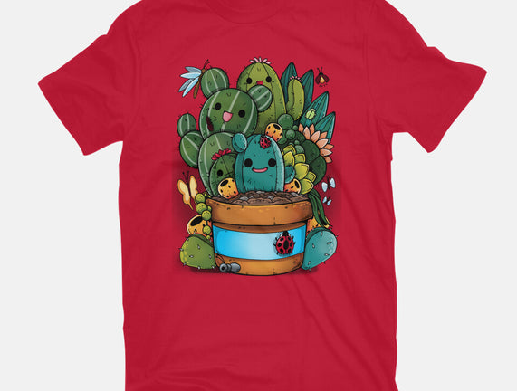 Cactus Succulents