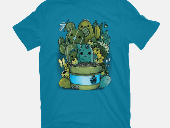 Cactus Succulents