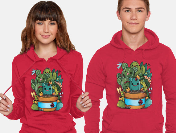 Cactus Succulents