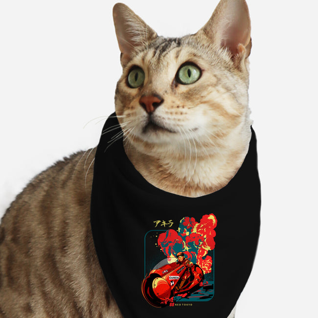 Neo Tokyo War-cat bandana pet collar-heydale