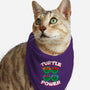 Turtle Power-cat bandana pet collar-rocketman_art