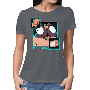 Dog, Pig, Loaf Of Bread