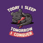 Today I Sleep-none non-removable cover w insert throw pillow-koalastudio