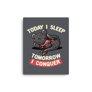 Today I Sleep