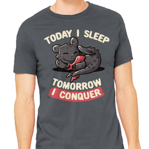 Today I Sleep