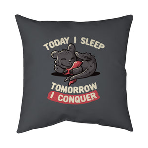Today I Sleep