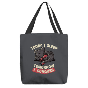 Today I Sleep