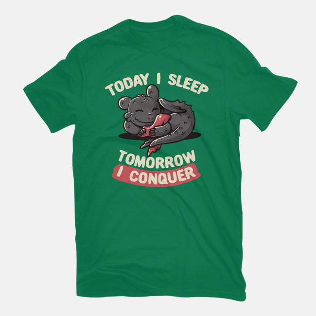 Today I Sleep-mens premium tee-koalastudio
